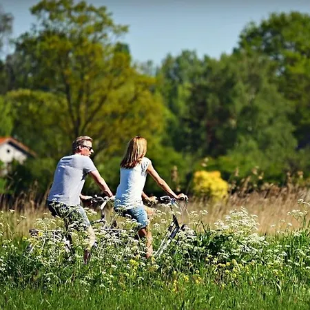 Ferienhaus Luxchalet Vaju Ijsselview Direkt Am Fluss See Pool Park Holiday home *